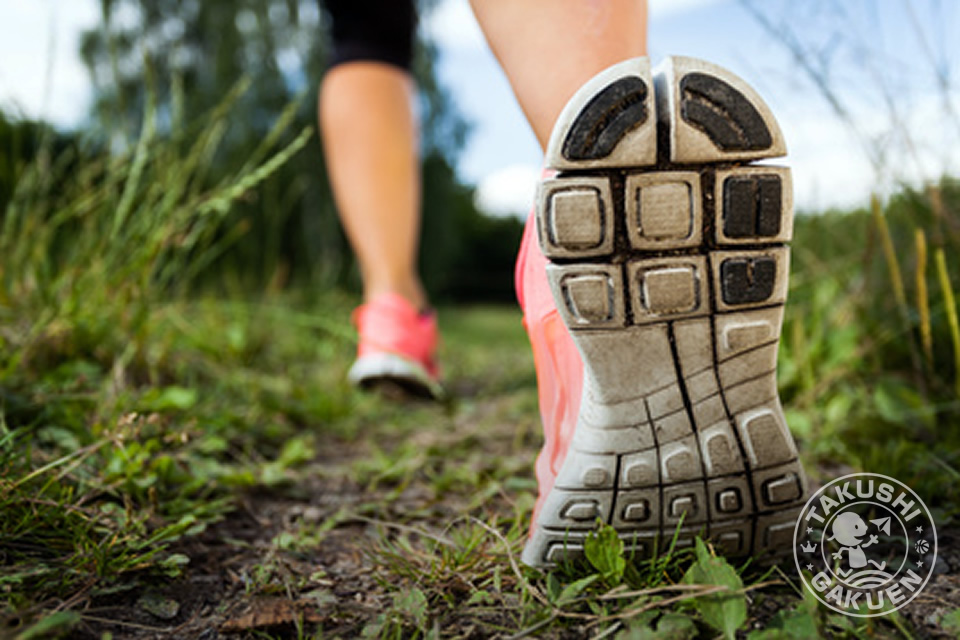 ファルトレクトレーニング