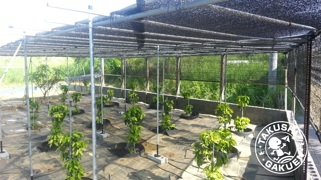 2014-09-14-09-22-28_deco